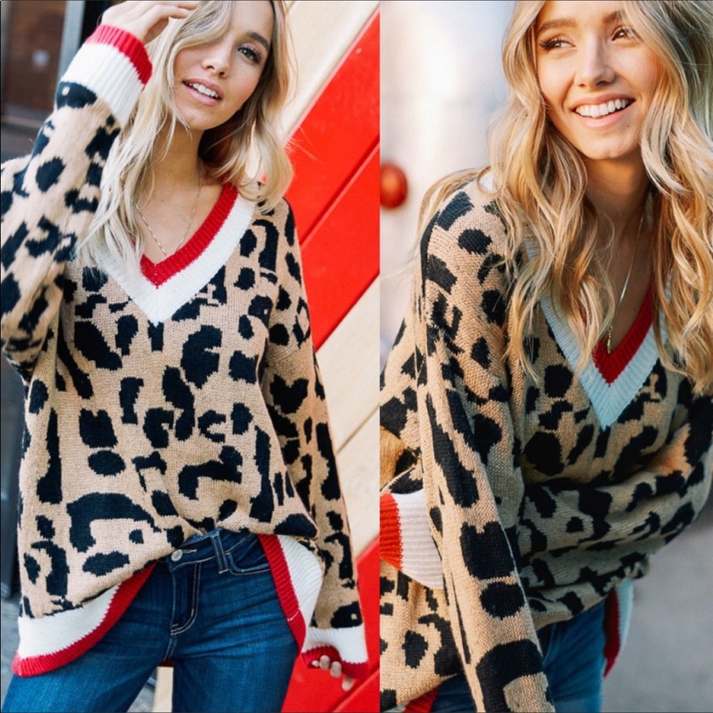 💥NWT LAST ONE💥Leopard Print V-Neck Sweater - Picture 3 of 4
